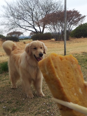 卵焼き