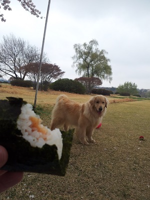 おにぎり