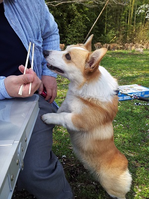 おねだり