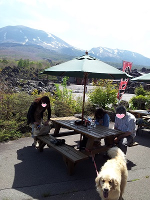昼食場所