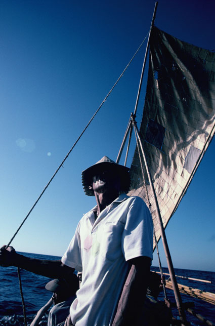 whale007.jpg