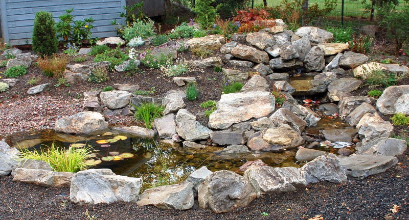 Rock Gardens Landscaping – 5 Tips For A Great Backyard Showplace ...