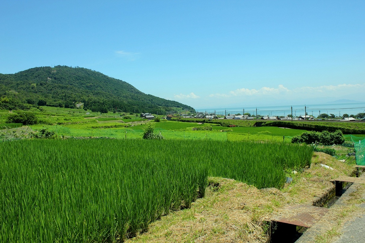 高島2012年7月18日-2