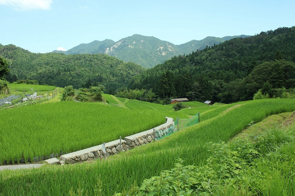 高島2012年7月18日-8