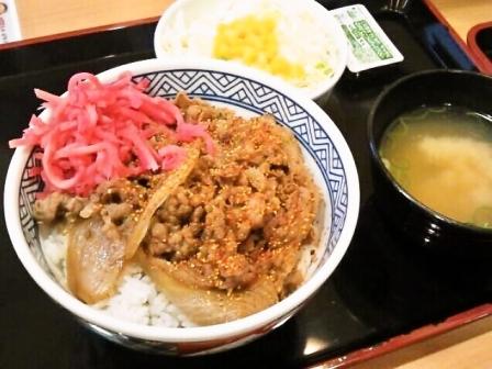 yoshinoya.jpg