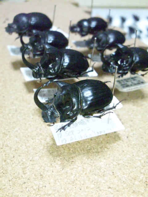 20130215013606417.jpg