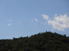 DSC00188_20121019140734.jpg