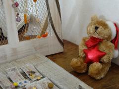 DSC00193_20121023161524.jpg