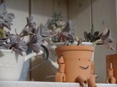 DSC00246_20121114150427.jpg