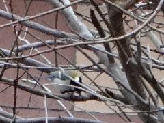 DSC00348.jpg