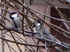 DSC00352.jpg