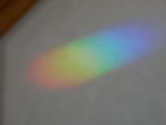 DSC00358.jpg