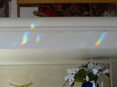 DSC00361.jpg