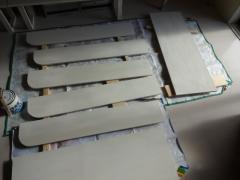DSC00364.jpg