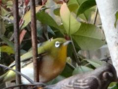 DSC00410.jpg