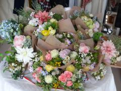 DSC00413.jpg