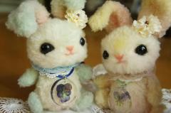 DSC01320.jpg