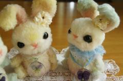 DSC01322.jpg