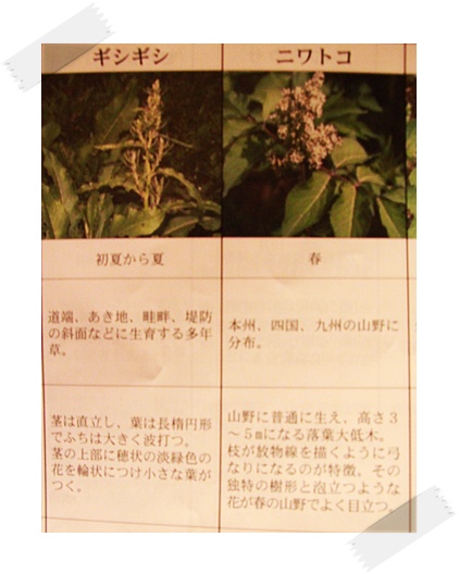 02_20120607235237.jpg