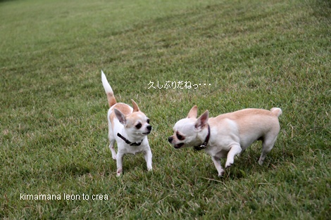 10_20121005021325.jpg