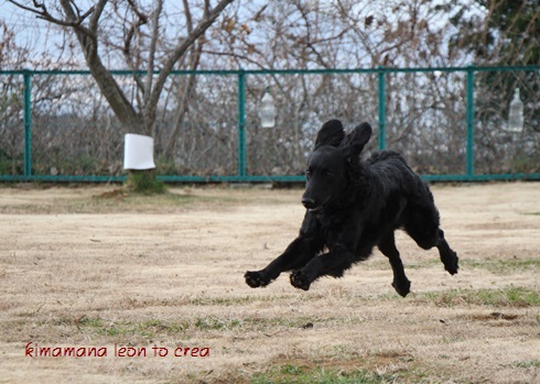 2_201401082134337a4.jpg