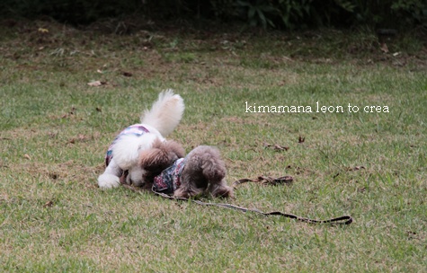c_20120919001141.jpg