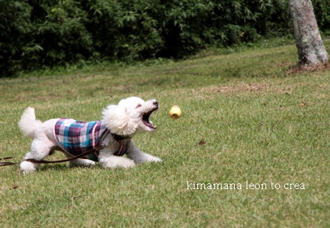 d_20120919001229.jpg