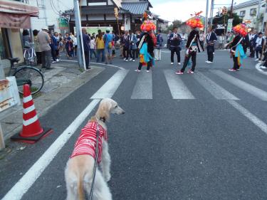道路に人だかり