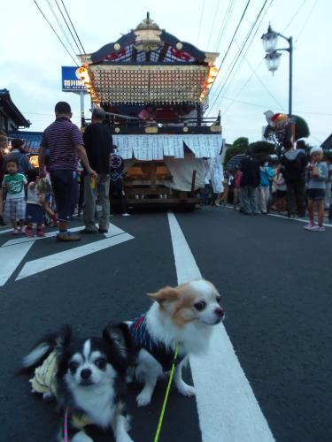 山車と撮影