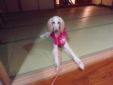 おりこうにしててね