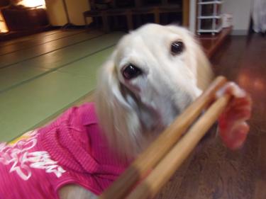 く・ぎ・づ・け♪