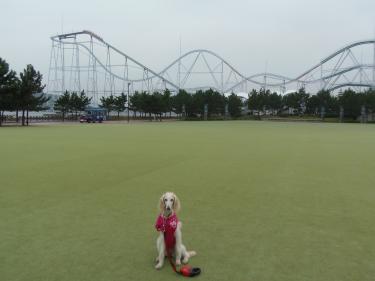 広場