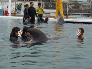 クジラさんと触れ合い中
