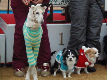 クリスマスなコスプレ