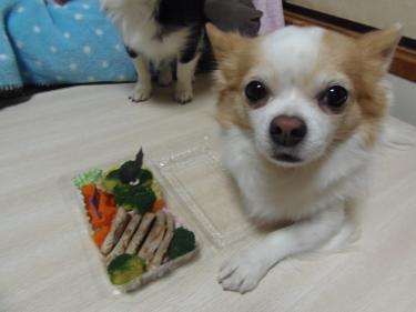 わくわくレオ君