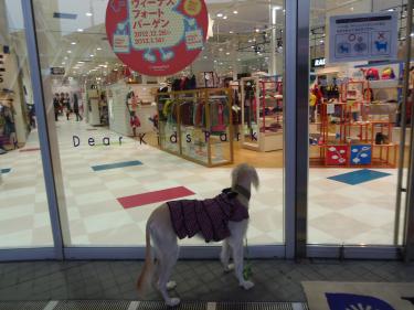 ここには入れません