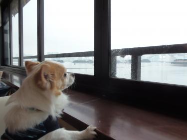 海が見えるよ!