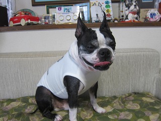 IMG_0448.jpg