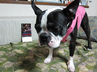 IMG_1598.jpg