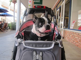 IMG_2911.jpg