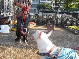 IMG_3431.jpg