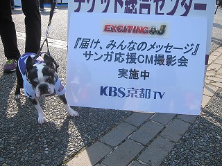 IMG_3961.jpg