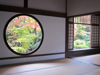 IMG_4519.jpg