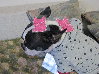 IMG_5064.jpg