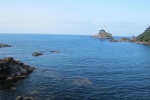 IMG_7838.jpg