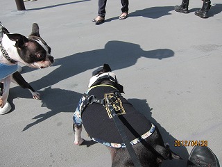IMG_7918.jpg