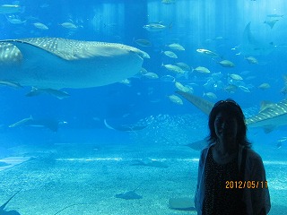 IMG_8455.jpg
