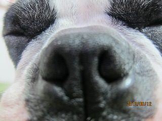 IMG_9725.jpg