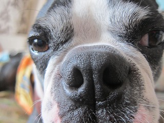 IMG_9814.jpg