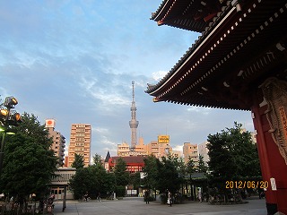 IMG_9970.jpg